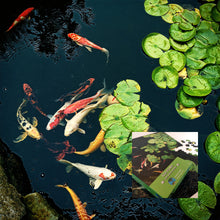 Load image into Gallery viewer, Koi Pond
